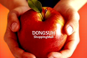 DONGSUH Shop